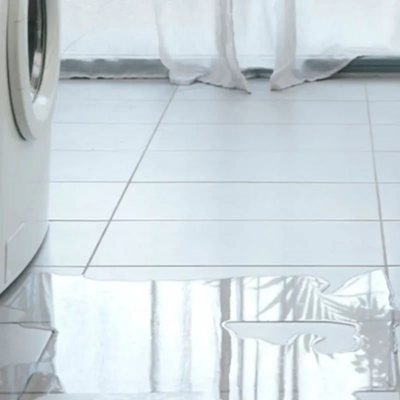 Appliance Leak Cleanup in Russellville, KY