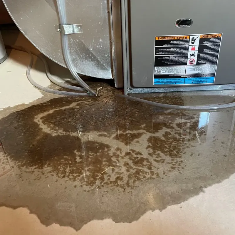 Pipe Burst and Leak Restoration in Russellville, KY
